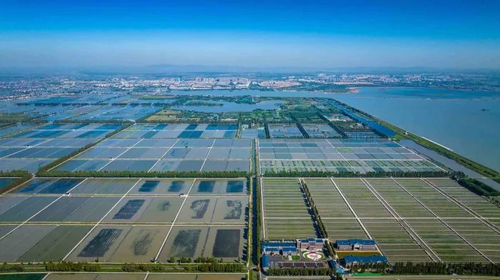 航拍高淳固城湖螃蟹核心區(qū)。高淳區(qū)融媒體中心供圖
